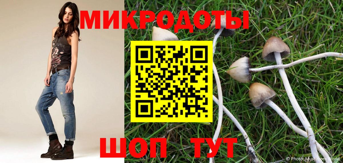Галлюциногенные грибы Magic Shrooms Славгород