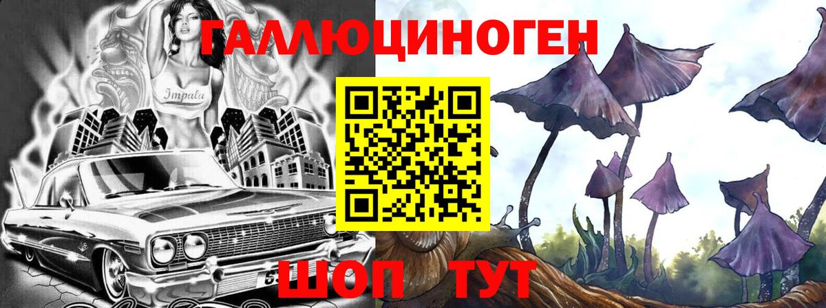 Славгород  Галлюциногенные грибы Psilocybine cubensis  Галлюциногенные грибы Cubensis  Вход с VPN 